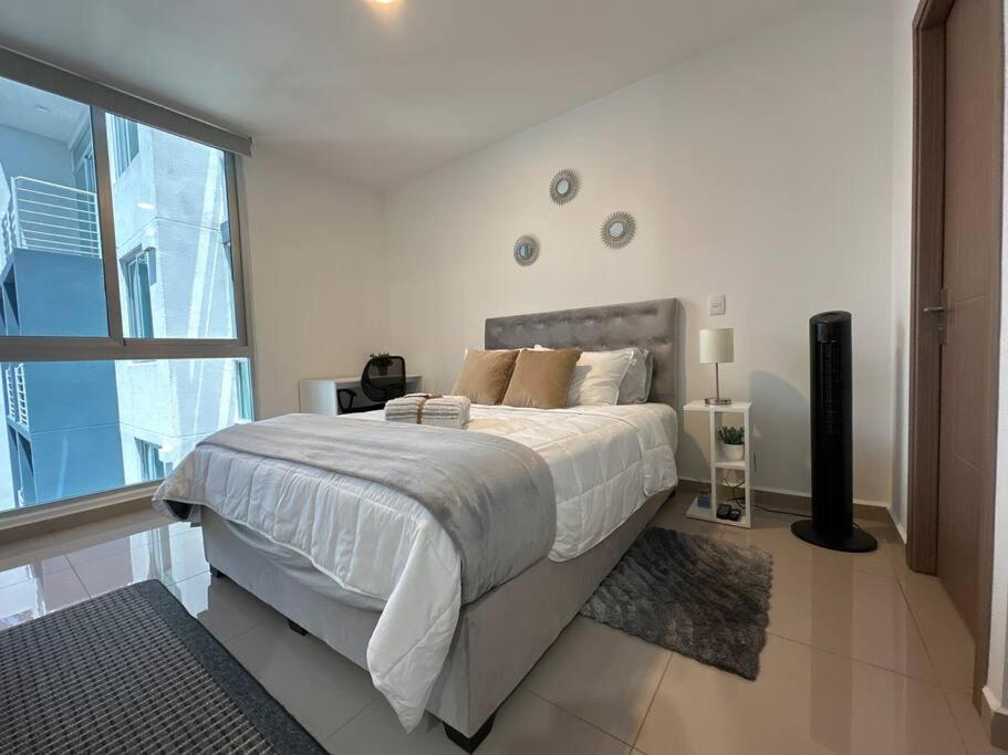 סן חוזה New Luxury Apartment 12Th Floor מראה חיצוני תמונה