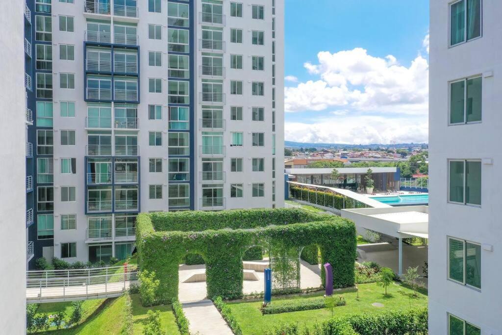 סן חוזה New Luxury Apartment 12Th Floor מראה חיצוני תמונה